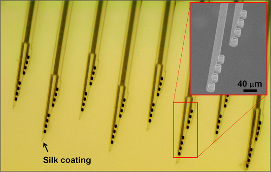 Probe research paper 08 picture