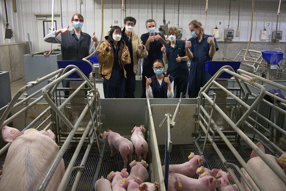 Jesse Codling wins Best Presentation award for sensors that help protect  these little piggies in their pens