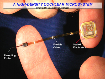 High-Density Cochlear Microsystem